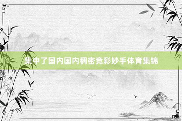 集中了国内国内稠密竞彩妙手体育集锦
