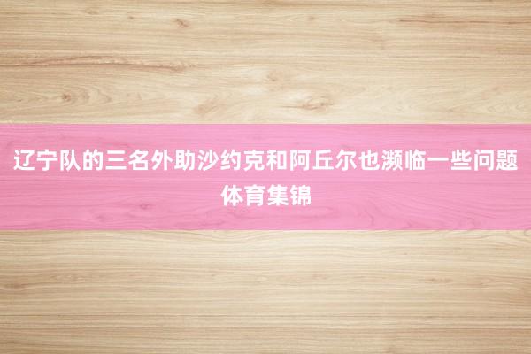 辽宁队的三名外助沙约克和阿丘尔也濒临一些问题体育集锦