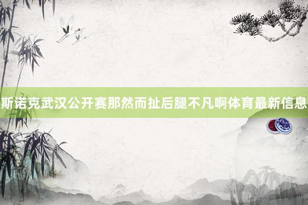 斯诺克武汉公开赛那然而扯后腿不凡啊体育最新信息